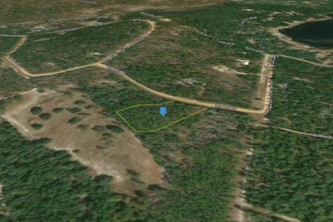 Land in Hawthorne, Florida № 1875922 - photo 6