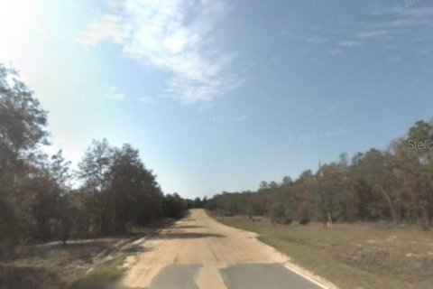 Land in Hawthorne, Florida № 1875922 - photo 1
