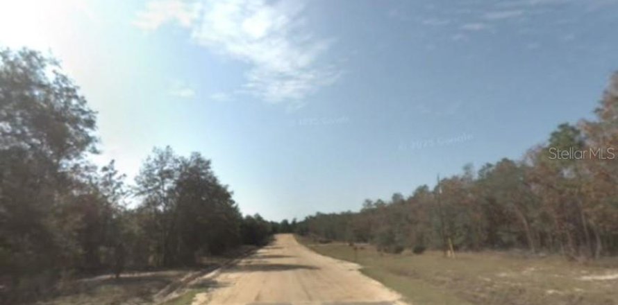 Land in Hawthorne, Florida № 1875922