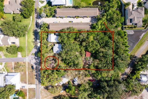 House in Palm Harbor, Florida 2 bedrooms, 44.59 sq.m. № 2104577 - photo 2
