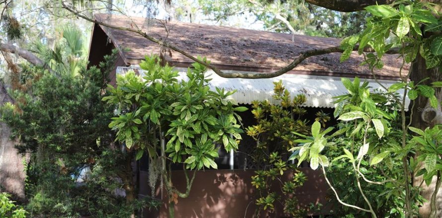 House in Palm Harbor, Florida 2 bedrooms, 44.59 sq.m. № 2104577
