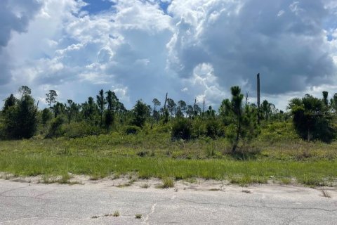 Land in North Port, Florida № 2165715 - photo 8