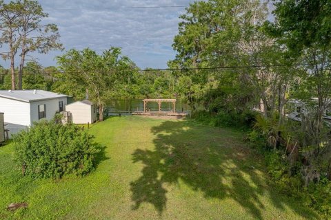 Terreno en venta en Satsuma, Florida № 1688110 - foto 8