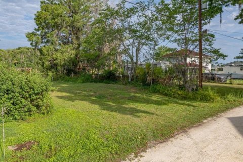 Terreno en venta en Satsuma, Florida № 1688110 - foto 12
