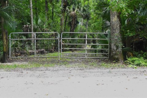 Land in Edgewater, Florida № 2239167