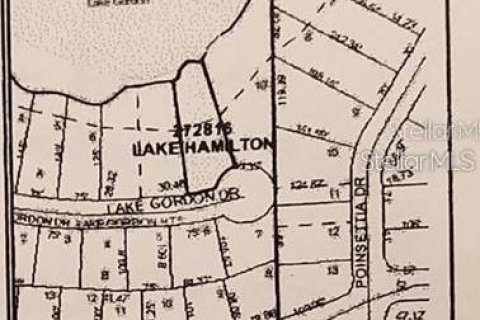 Land in Haines City, Florida № 888678 - photo 3
