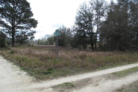 Terreno en Ocala, Florida № 2094563
