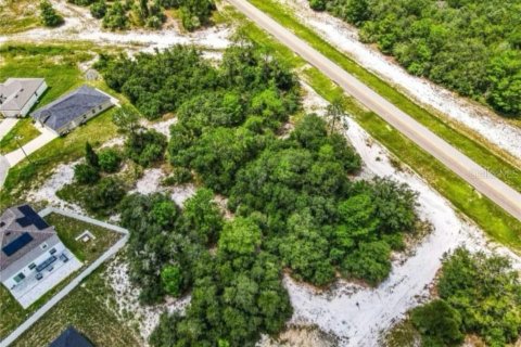 Land in Kissimmee, Florida № 1901335 - photo 5