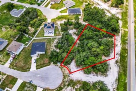 Land in Kissimmee, Florida № 1901335 - photo 2