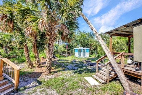 Land in Arcadia, Florida № 1747231 - photo 2