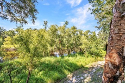 Land in Arcadia, Florida № 1747231 - photo 8