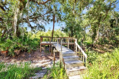 Land in Arcadia, Florida № 1747231 - photo 7