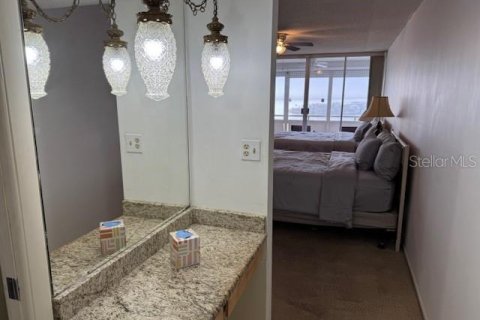 Studio in the Condo in Saint Petersburg, Florida  № 1615934 - photo 15