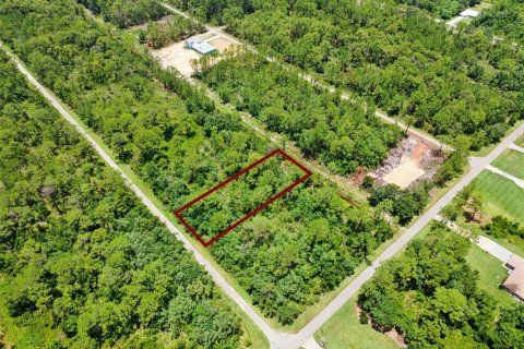 Land in Indian lake estates, Florida № 2219337
