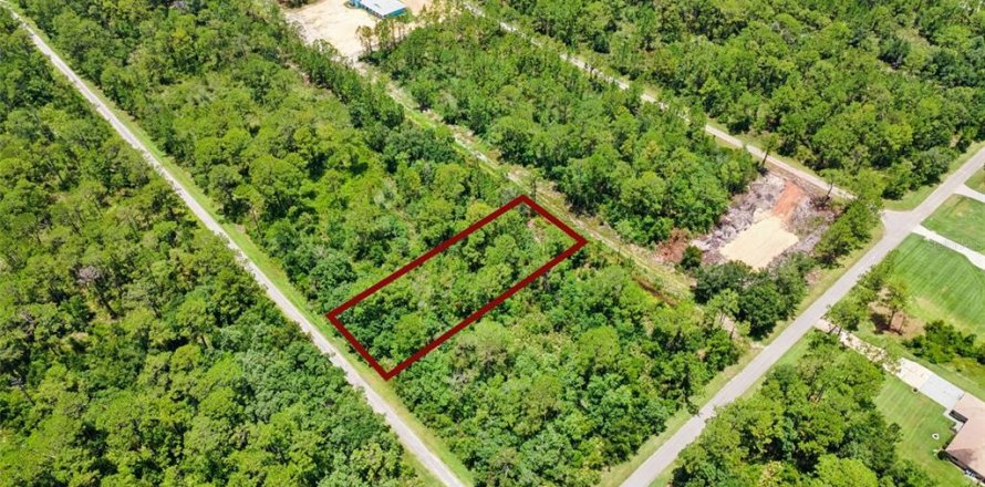 Terrain à Indian lake estates, Floride № 2219337