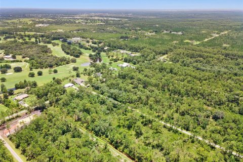 Terrain à vendre à Indian lake estates, Floride № 2219337 - photo 6