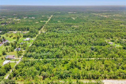 Terrain à vendre à Indian lake estates, Floride № 2219337 - photo 8