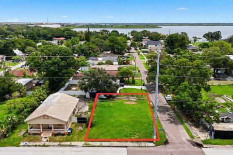 Land in Tampa, Florida № 2378054 - photo 5