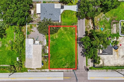 Land in Tampa, Florida № 2378054 - photo 6