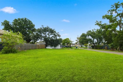 Land in Tampa, Florida № 2378054 - photo 3