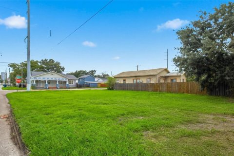 Land in Tampa, Florida № 2378054 - photo 7