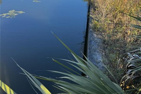 Terrain à Cape Coral, Floride № 2118264