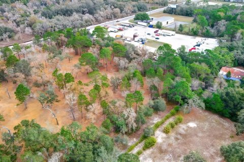 Land in Spring Hill, Florida № 1722486 - photo 5