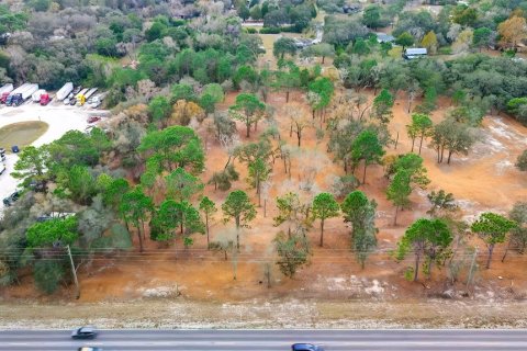 Land in Spring Hill, Florida № 1722486 - photo 2