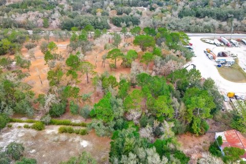 Land in Spring Hill, Florida № 1722486 - photo 6