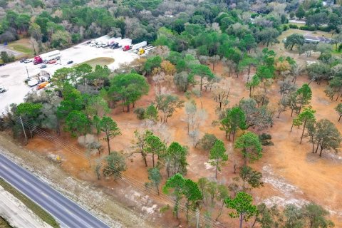 Land in Spring Hill, Florida № 1722486 - photo 3