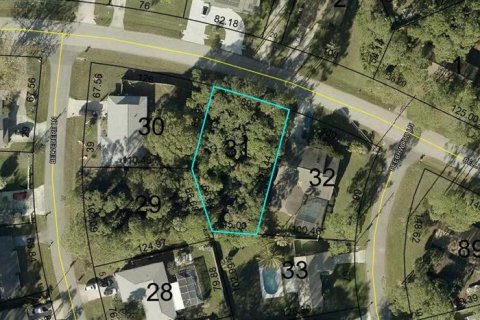 Land in Palm Coast, Florida № 2378920