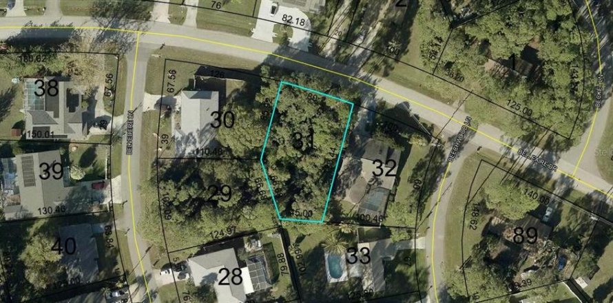 Land in Palm Coast, Florida № 2378920