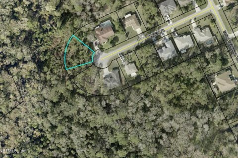 Land in Palm Coast, Florida № 829580 - photo 1