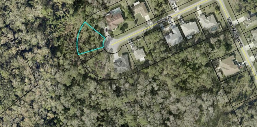 Land in Palm Coast, Florida № 829580