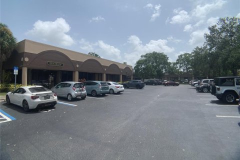 Commercial property in Largo, Florida 329.8 sq.m. № 214406 - photo 2
