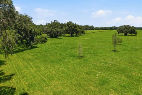 Terrain à vendre à Dunnellon, Floride № 2225866 - photo 16