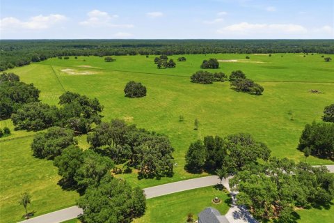 Terrain à vendre à Dunnellon, Floride № 2225866 - photo 9
