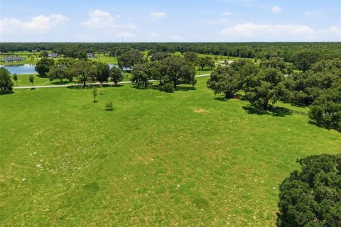 Terrain à vendre à Dunnellon, Floride № 2225866 - photo 15