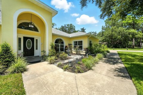 Villa ou maison à vendre à Eustis, Floride: 4 chambres, 317.63 m2 № 1886149 - photo 10