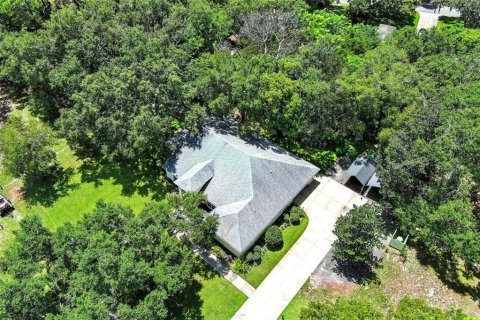 Villa ou maison à vendre à Eustis, Floride: 4 chambres, 317.63 m2 № 1886149 - photo 4