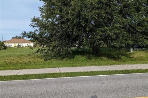 Land in Punta Gorda, Florida № 2166715 - photo 2