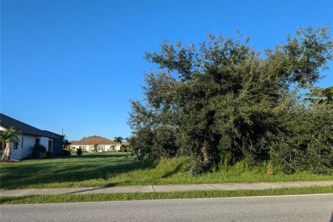 Land in Punta Gorda, Florida № 2166715