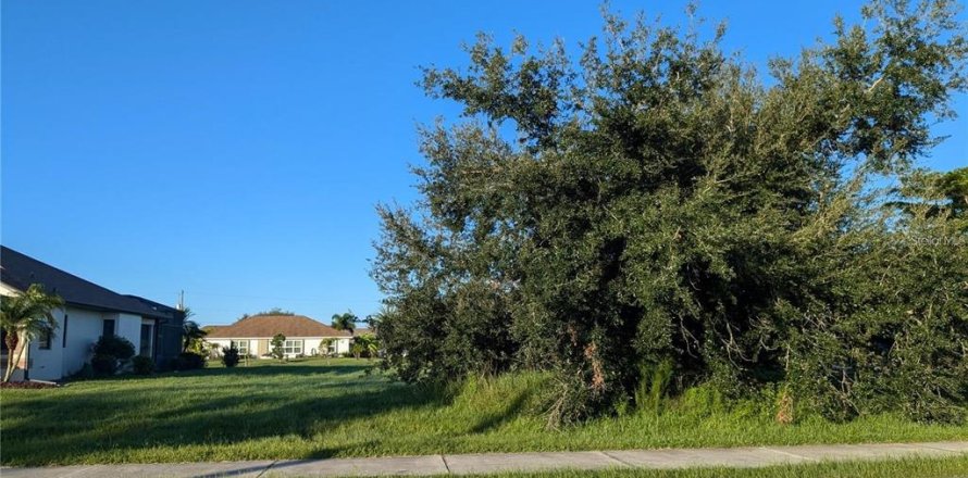 Land in Punta Gorda, Florida № 2166715