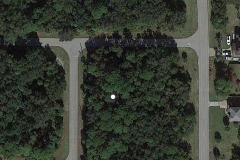 Land in Port Charlotte, Florida № 2162298 - photo 4