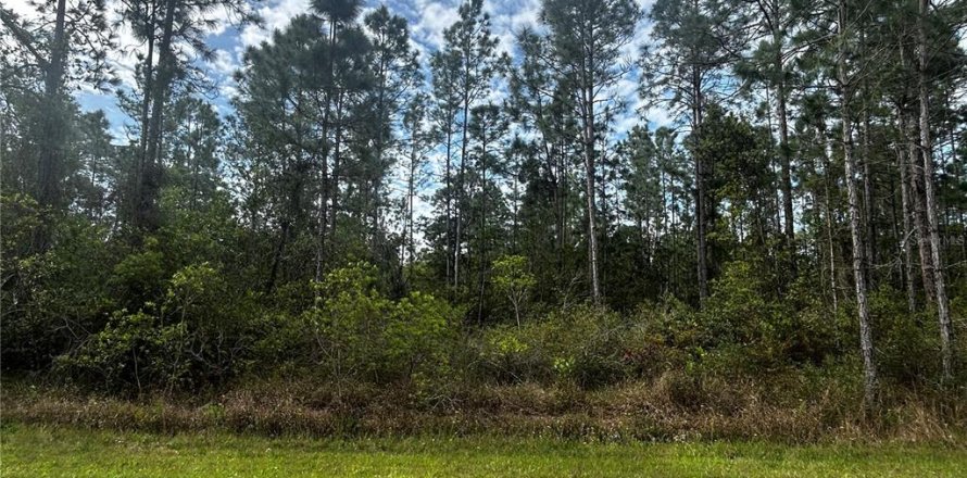 Land in Lake Wales, Florida № 2160596