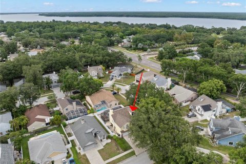House in Palm Harbor, Florida 4 bedrooms, 216.65 sq.m. № 1869795 - photo 8