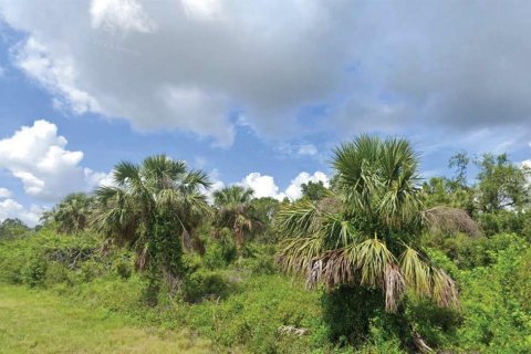 Terreno en Port Charlotte, Florida № 2232557