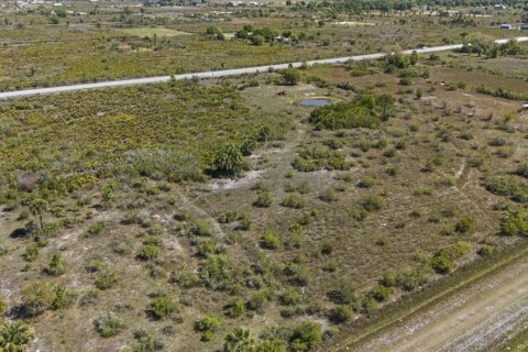 Immobilier commercial à vendre à Okeechobee, Floride № 2078290 - photo 6