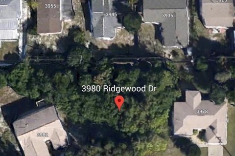 Land in Titusville, Florida № 2159987 - photo 2