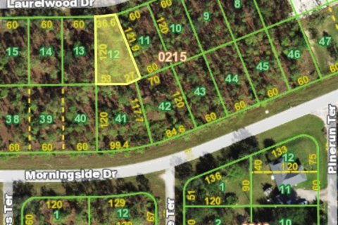Land in Punta Gorda, Florida № 2161812 - photo 2